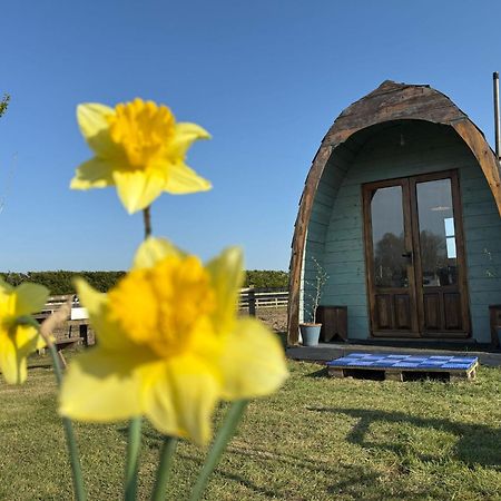 Skipbridge Farm Glamping York Exterior foto